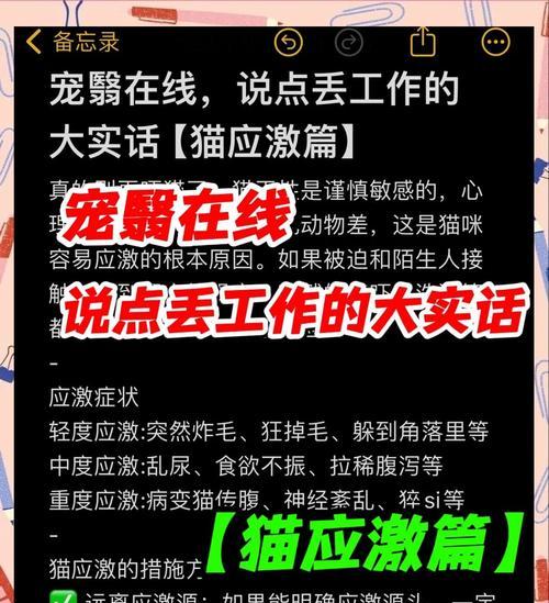 猫对火鸡成分过敏应如何处理？