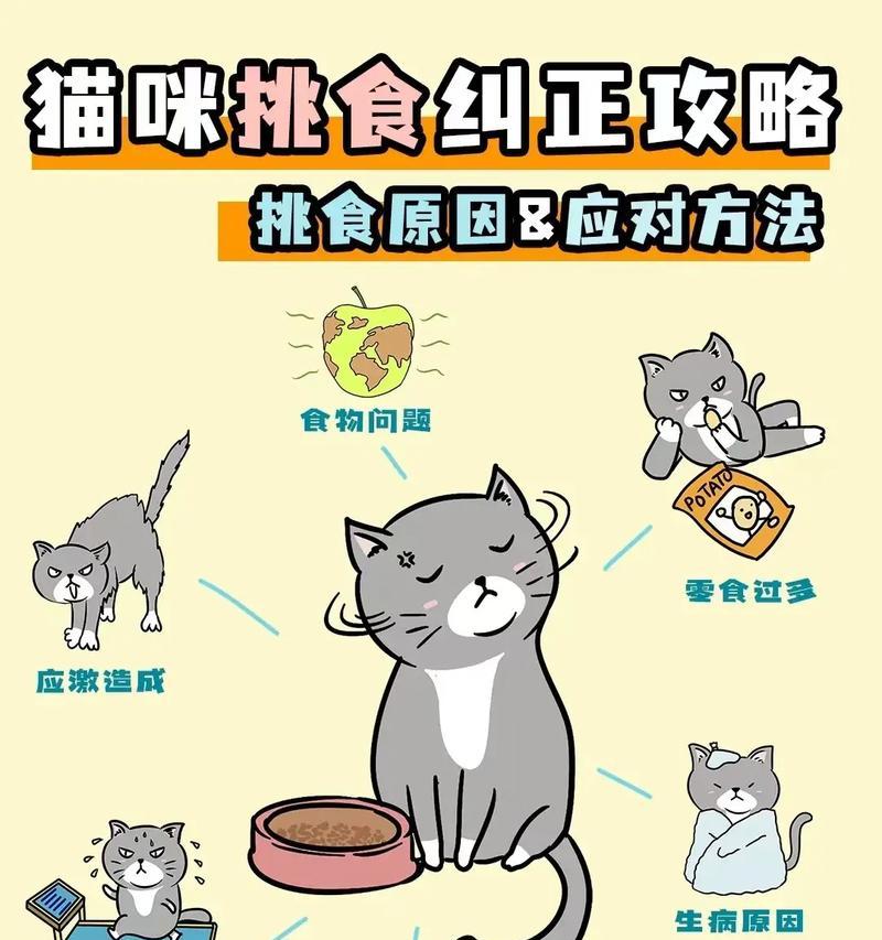 猫咪挑食不吃猫粮怎么办？