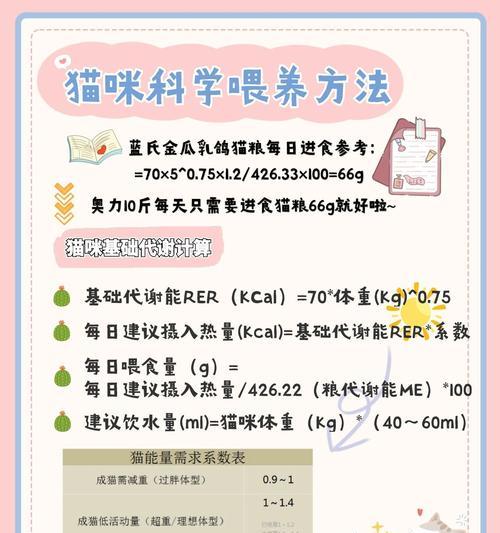 如何正确强喂猫咪猫粮？强喂猫粮有哪些注意事项？