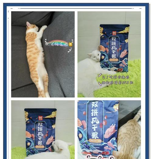 喵屋小铺双拼猫粮的评价如何？