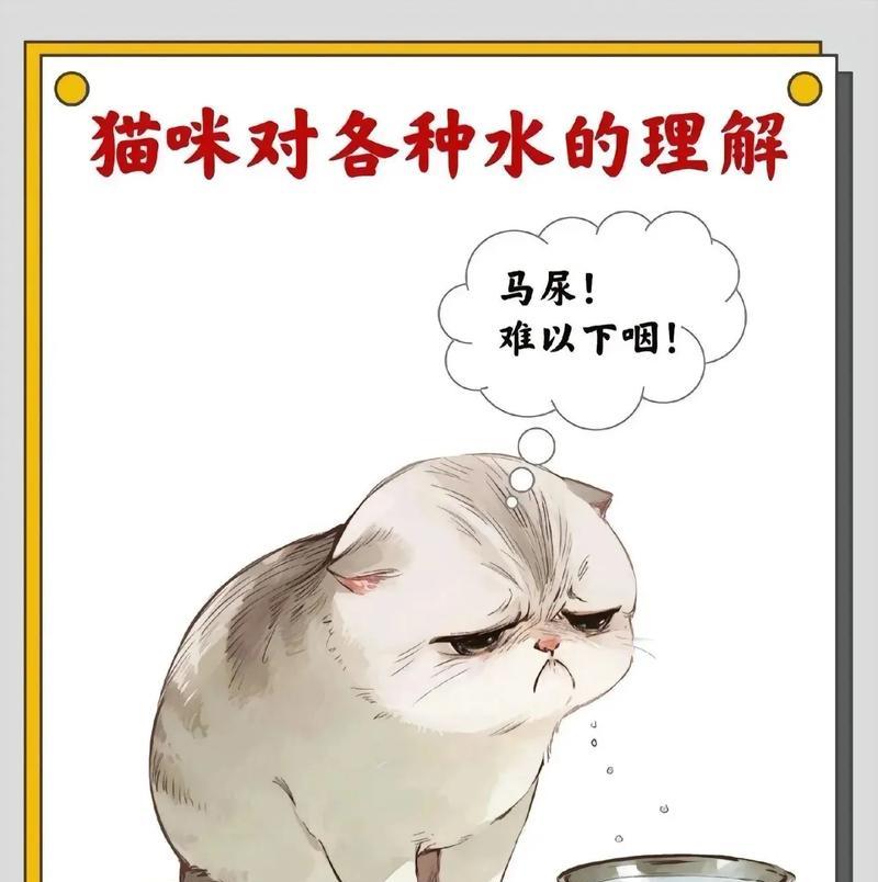 猫只爱吃猫粮爱喝水怎么回事？这是健康的表现吗？