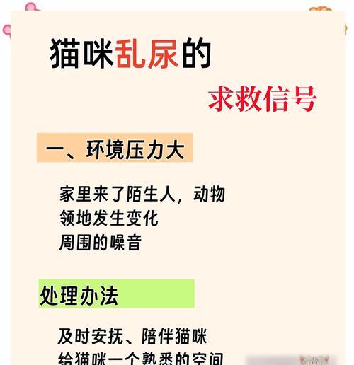 如何解决猫咪不吃猫粮并乱尿的问题？