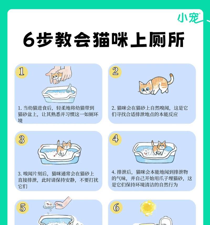 如何解决猫咪不吃猫粮并乱尿的问题？