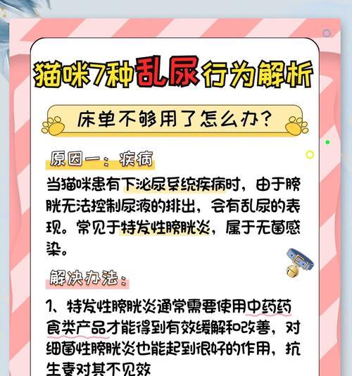 如何解决猫咪不吃猫粮并乱尿的问题？