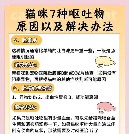 猫粮导致呕吐怎么办？如何预防和处理？