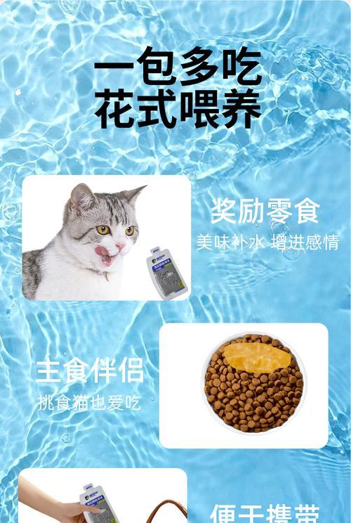 猫粮湿粮的主要用途是什么？