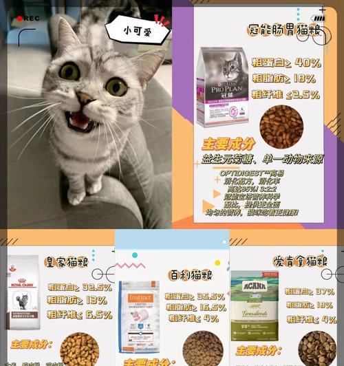 猫粮含在嘴里不吃应该怎么办？如何解决猫咪的食欲问题？