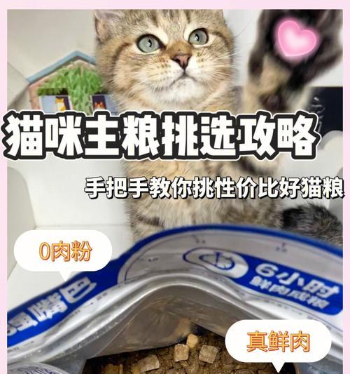 老猫猫粮消化不良？如何选择易消化的猫粮？