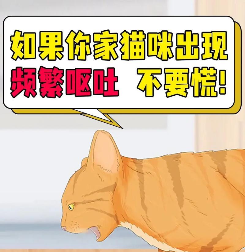 猫咪吃猫粮时总是撒出来是为什么？如何解决？
