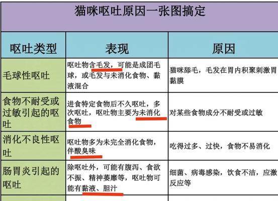 猫咪频繁呕吐猫粮的可能原因是什么？