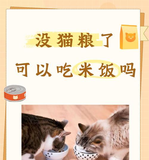 只吃猫粮的猫大便臭吗？大便臭的原因是什么？