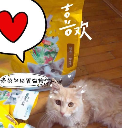 猫粮中发现的白色圆球是什么生物？