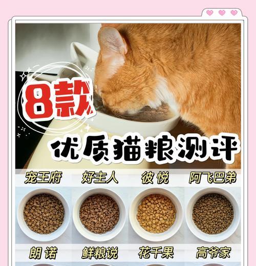 8斤重的猫咪适合哪种猫粮？如何选择适合8斤猫咪的猫粮？
