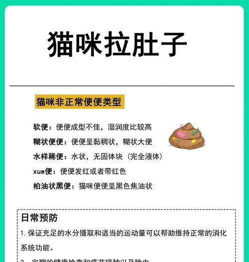 猫拉肚子全是猫粮怎么办？如何处理？