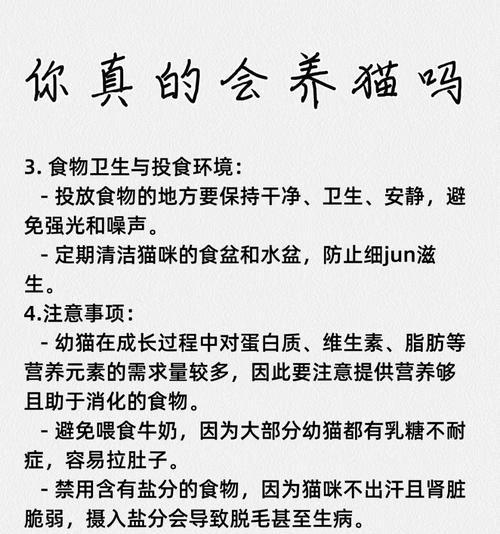 健康营养的猫粮怎么样？选择时应该注意什么？
