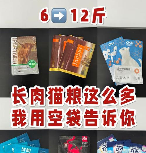 肥猫需要什么猫粮好一点？哪种猫粮有助于减肥？