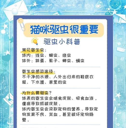猫粮发现甲虫怎么处理？甲虫对猫咪健康有何影响？