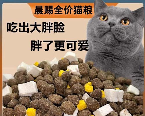 推荐哪些猫粮品牌适合养肥蓝猫？