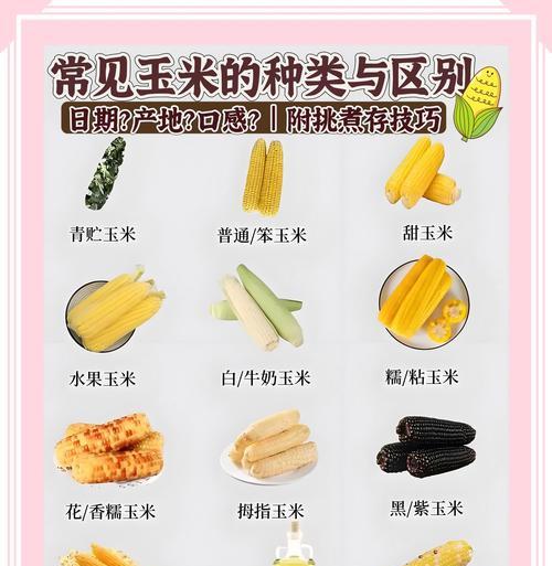 玉米可以作为猫粮的一部分吗？正确的喂食方法是什么？