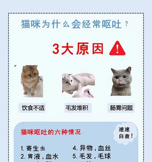 猫咪吐两次猫粮可能的原因是什么？