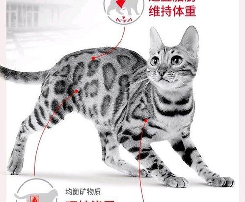 皇家f32猫粮的成分有哪些？是否适合两个月大的猫咪？
