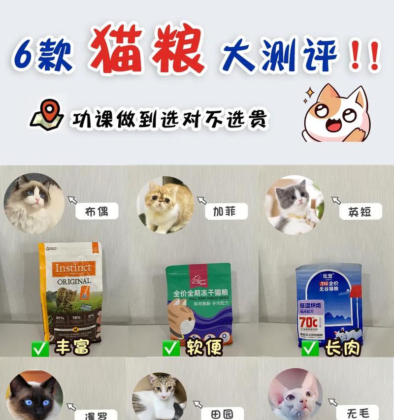 阿蛋适合吃哪种猫粮？