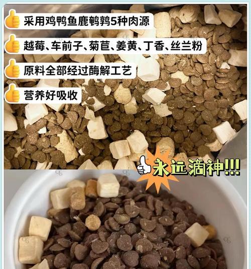 宽福猫粮为什么吃了软便？如何解决？