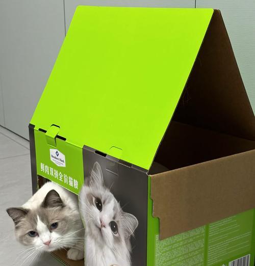 如何制作猫粮猫窝套餐？需要哪些材料和步骤？