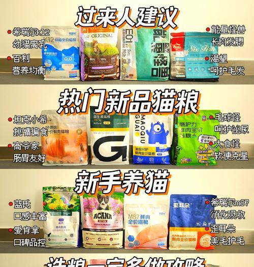 猫咪偶尔吃猫粮对健康有何影响？
