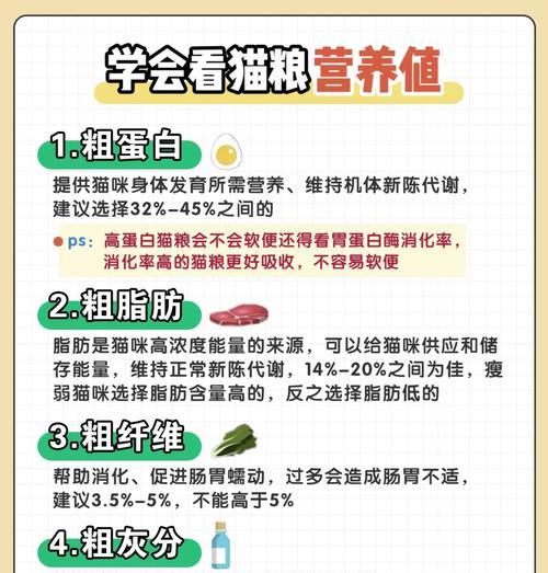 猫咪偶尔吃猫粮对健康有何影响？