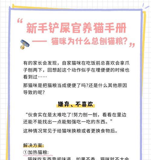 猫咪刨猫粮行为背后的原因？