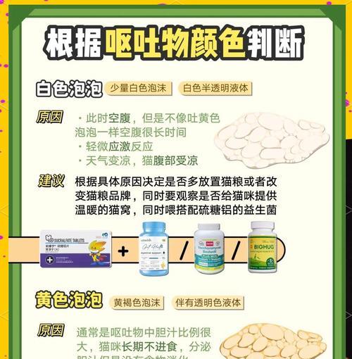 大猫吐猫粮需要服用什么药物？如何判断症状？