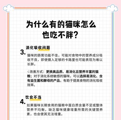 不使用猫粮喂养猫咪如何使其增重？