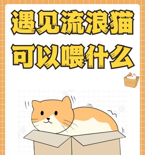 猫粮缺失时猫会有什么反应？如何安抚不开心的猫？