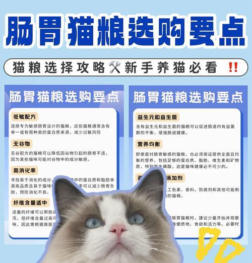 新手如何选择合适的猫粮品牌？