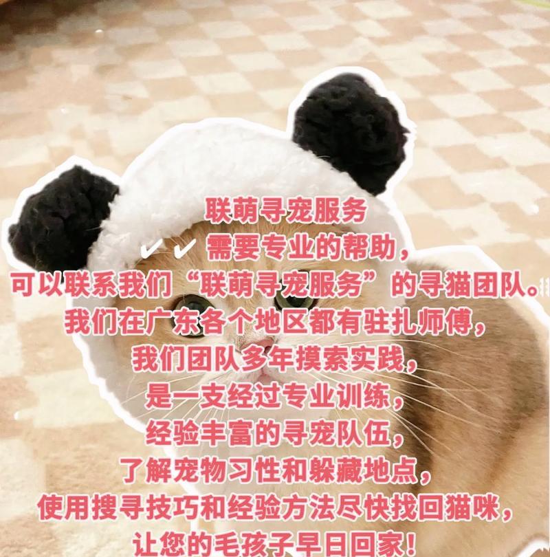 捡到猫仔无猫粮应如何处理？