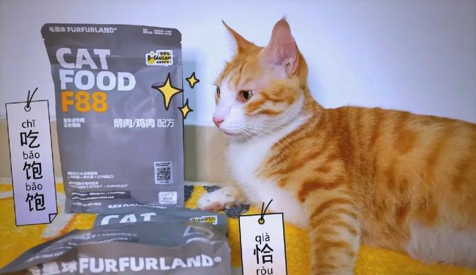 鹅肉猫粮对猫咪是否有益？如何喂食？