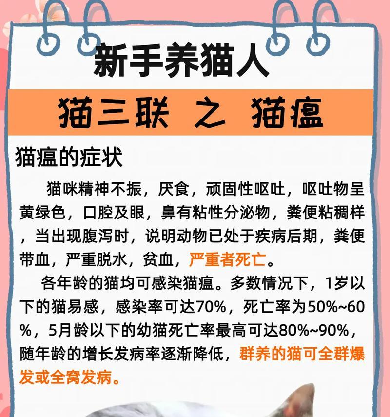 不吃剩猫粮猫会怎么样？长期不吃剩猫粮对猫有什么影响？
