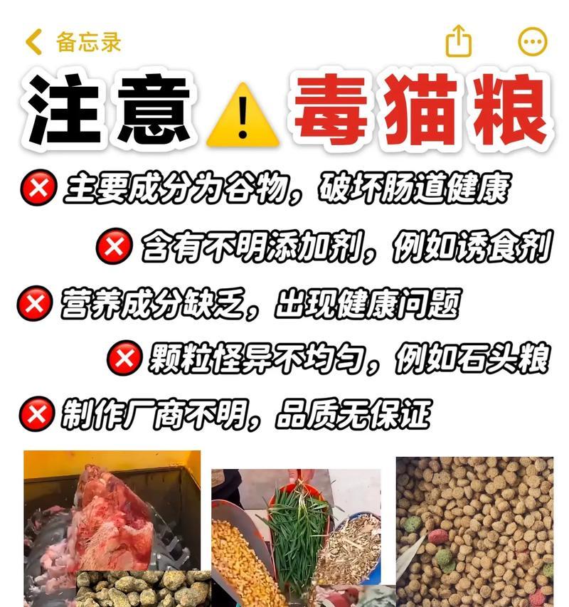吃毒猫粮后肚子大的原因是什么？毒猫粮对猫咪有什么影响？