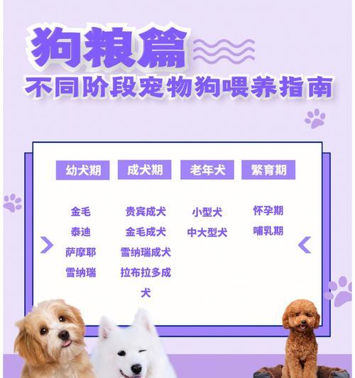 狗吃自制食物后是否可以停喂狗粮？