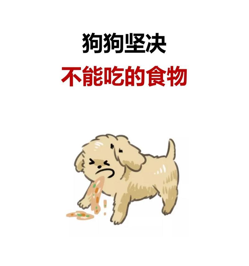 狗吃自制食物后是否可以停喂狗粮？