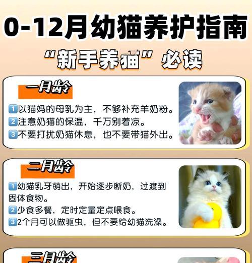 比瑞吉猫粮的销售渠道有哪些？价格如何？