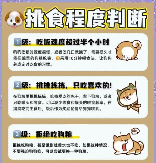 狗狗偏爱自制食物不吃狗粮怎么办？