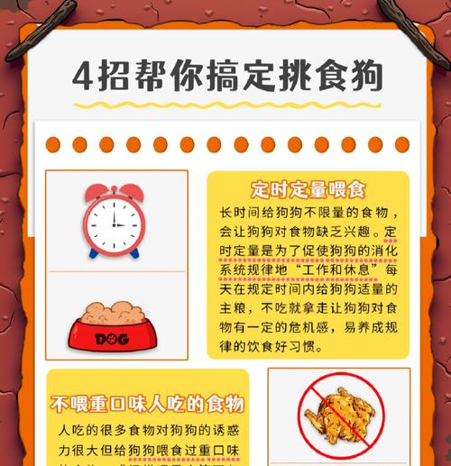 狗狗偏爱自制食物不吃狗粮怎么办？