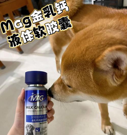 三个月大的德牧应该喂多少液体钙？如何正确补充液体钙？