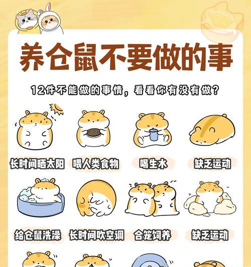 如何挑选一只亲人而且健康的仓鼠？需要关注哪些特征？