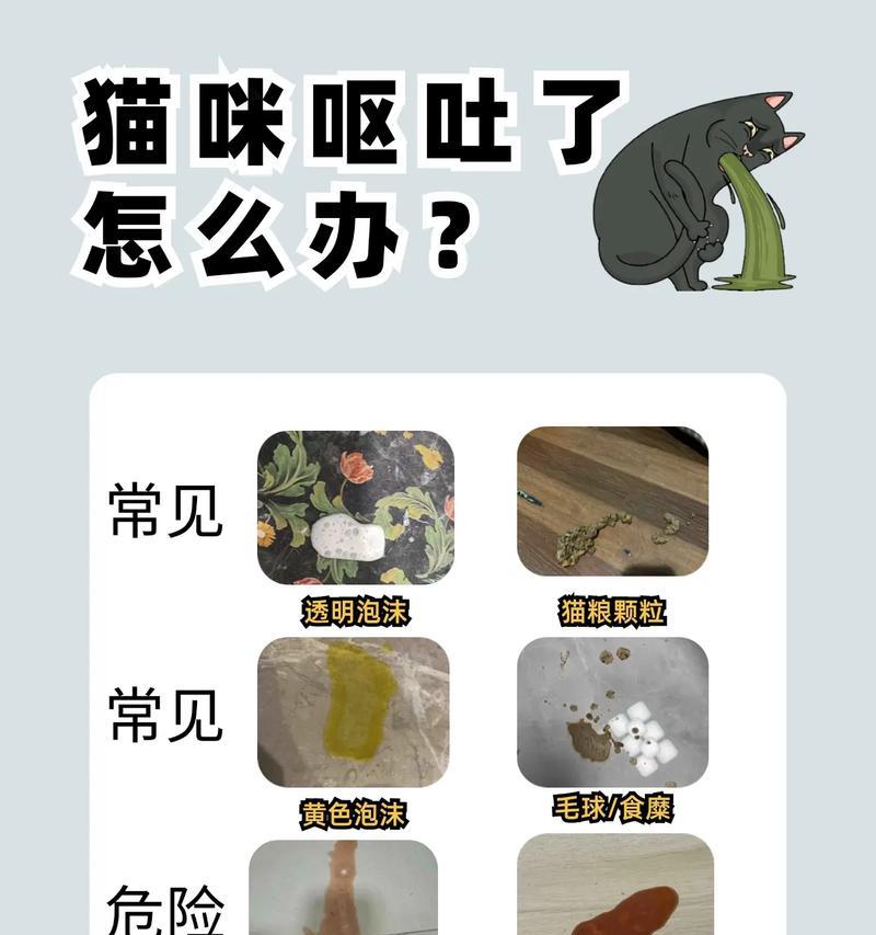 猫粮吃两口猫就吐了怎么回事？是否是猫粮质量问题？