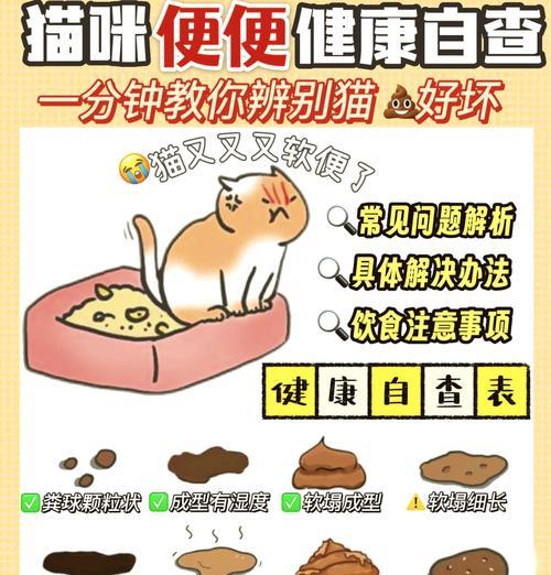 猫咪为何偏好小狗的粪便？如何纠正这一行为？