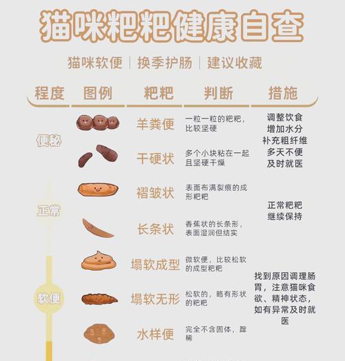 猫咪为何偏好小狗的粪便？如何纠正这一行为？