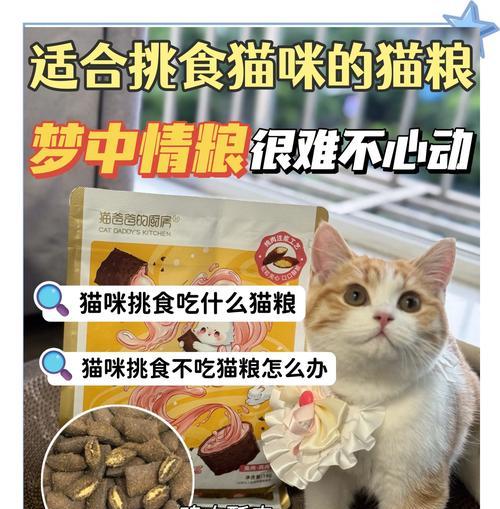 泡芙猫粮有什么特点？泡芙猫粮适合哪些猫咪？